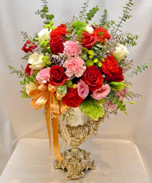 My Image 36